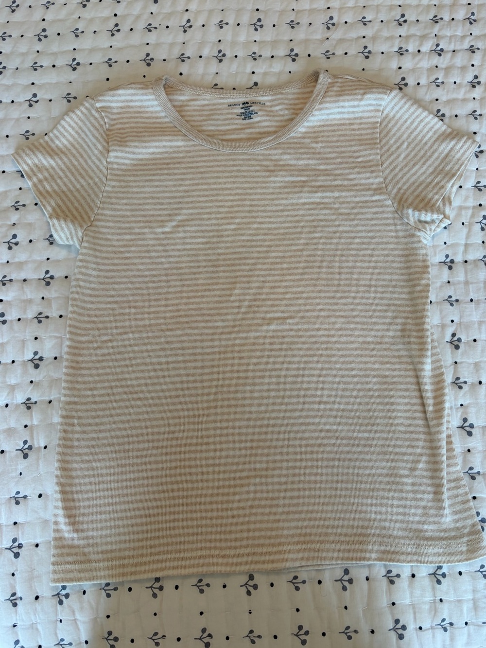 Brandy Melville Striped Short-Sleeve Crewneck Top